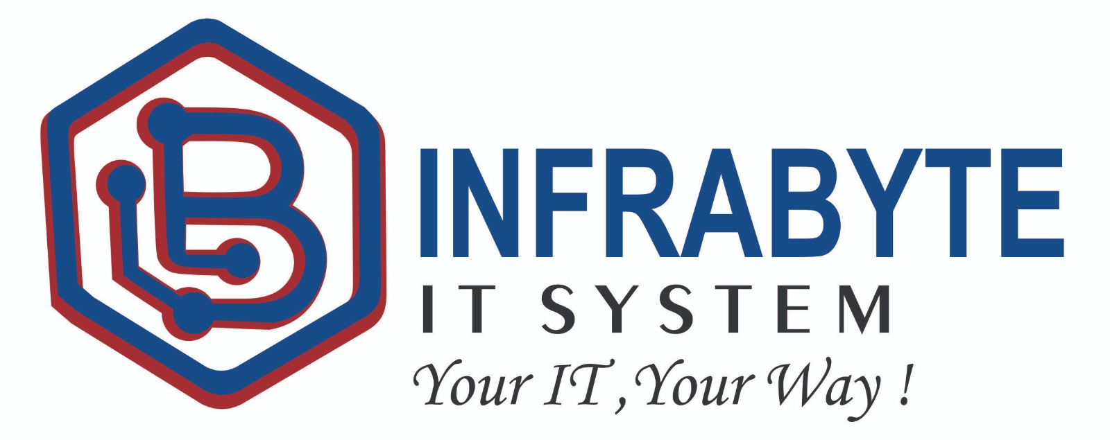 InfraByte IT System